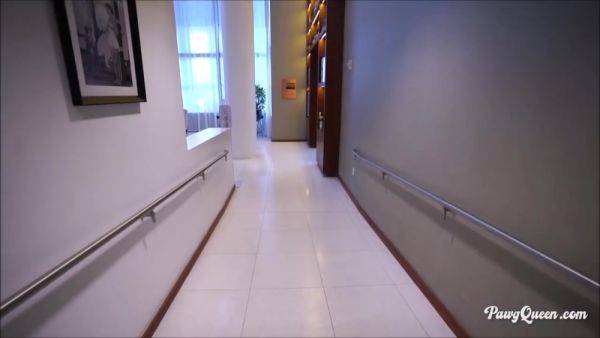 Ryan Smiles Face Sitting at PAWGQueen - hotmovs.com on poweredporn.com