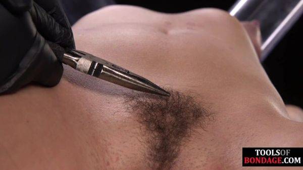 BDSM hairypussy GF screams and suffers hair pulling - txxx.com on poweredporn.com