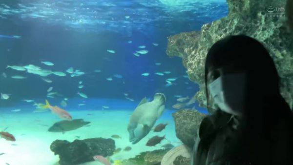 0002344_Japanese_Censored_MGS_19min - upornia.com - Japan on poweredporn.com