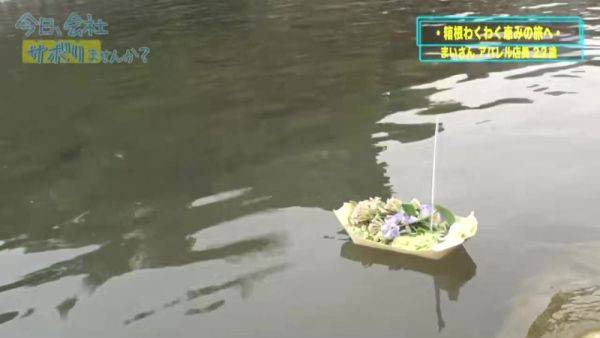 0003597_Japanese_Censored_MGS_19min - txxx.com - Japan on poweredporn.com