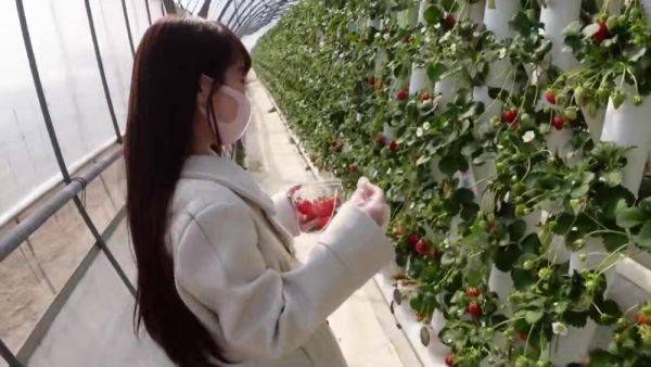 0003593_Japanese_Censored_MGS_19min - txxx.com - Japan on poweredporn.com