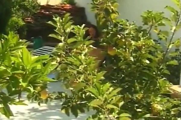 Redhead With Mouth-watering Melons Getting Banged Hard - hotmovs.com on poweredporn.com