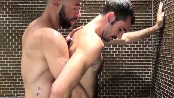 BAREBACKTHATHOLE Damon Andros And Stephen Harte Raw Breed - drtuber.com on poweredporn.com