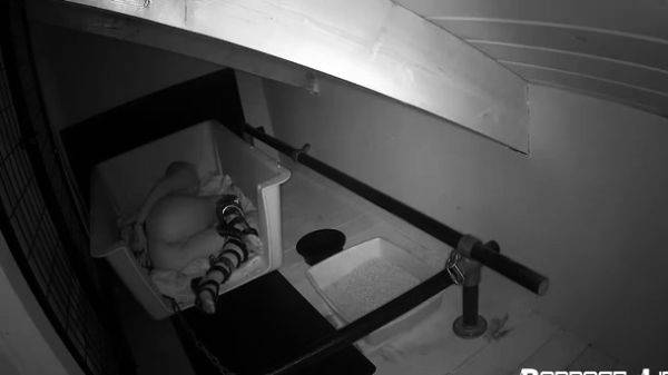 Amateur Hidden Cams Reveal Cock Riding Hoes - drtuber.com on poweredporn.com