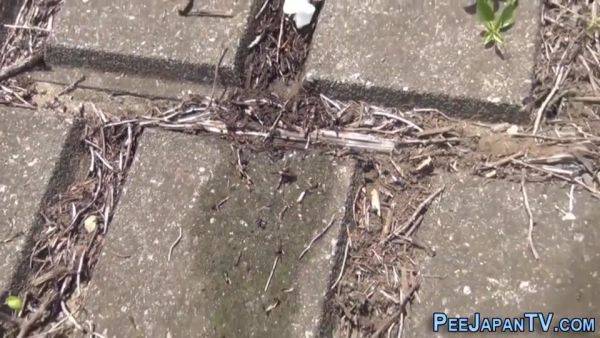 Shameless Japanese Teens Pissing - hotmovs.com - Japan on poweredporn.com