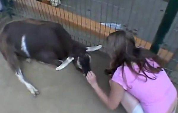 Pussy Fingering And Outdoor Teen Does Some Solo Heavy Petting, Outdoor Sex Video - inxxx.com on poweredporn.com