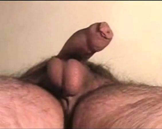 ON THE RISE (A BALLS-EYE-VIEW) - drtuber.com on poweredporn.com