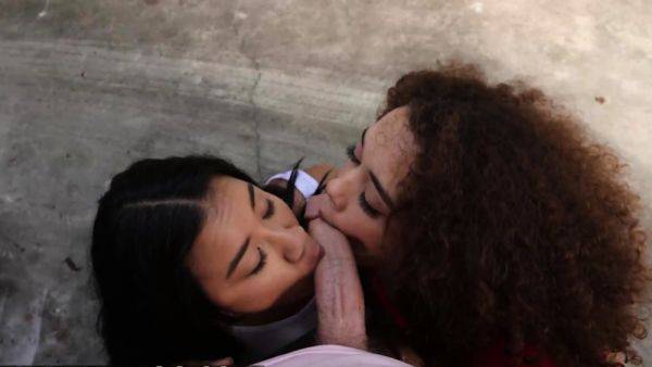 REALITY KINGS - Willow Ryder Ameena Green Try To Have - drtuber.com on poweredporn.com