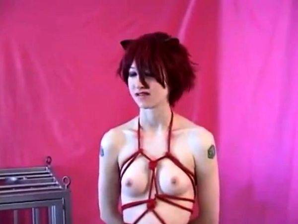 Master plays with his pet - drtuber.com on poweredporn.com