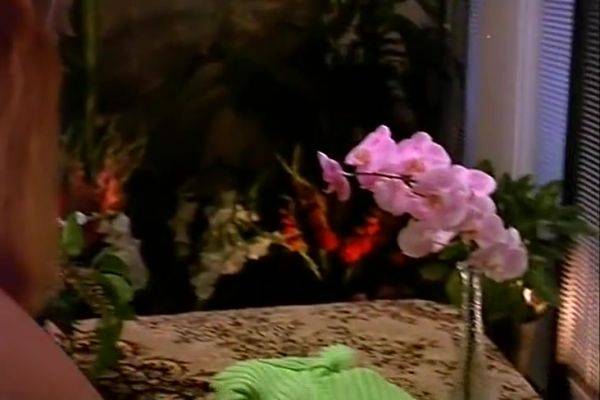 Crazy Adult Scene Big Dick Crazy Pretty One - hotmovs.com on poweredporn.com