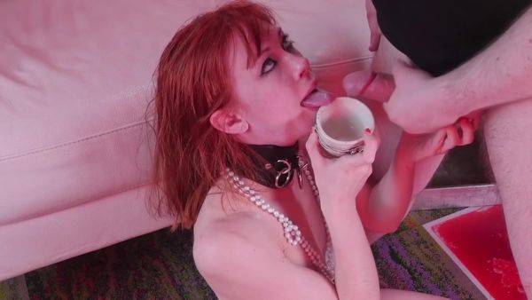 Jizz Drinking Bdsm Sex Slave Anally Shagged - hclips.com on poweredporn.com