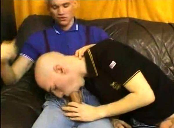 Skinhead Brotherhood - drtuber.com on poweredporn.com