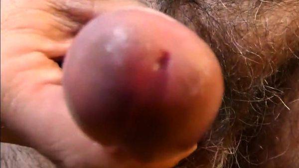 Mi pene - drtuber.com on poweredporn.com