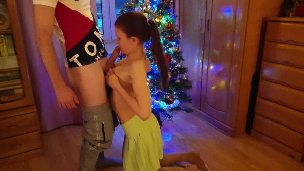 Holiday Blowjob Under The Christmas Tree - hclips.com on poweredporn.com