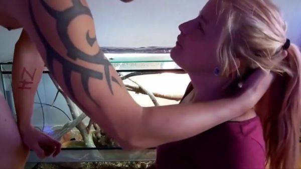 Perfect Girl - videomanysex.com on poweredporn.com