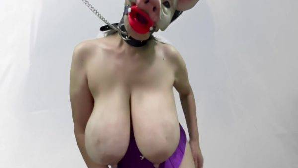 Masked Pig Slut Sucks Dildos And Boob Bouncing - hotmovs.com on poweredporn.com