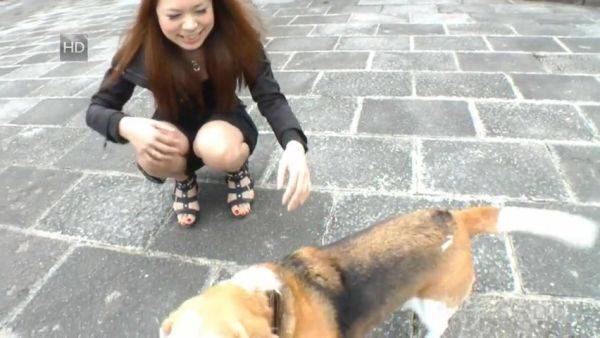 Miharu Kai If My GF Was Miharu Kai... - Caribbeancom - hotmovs.com - Japan on poweredporn.com