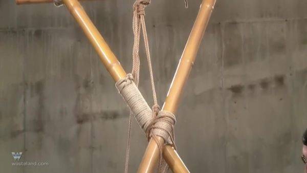 Whilst Bound This Submissive Japanese Beauty Is Taken To Sweaty Orgasm Through Caning And Toys - hotmovs.com - Japan on poweredporn.com