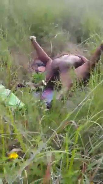 Caught Fucking In The Bush - voyeurhit.com on poweredporn.com