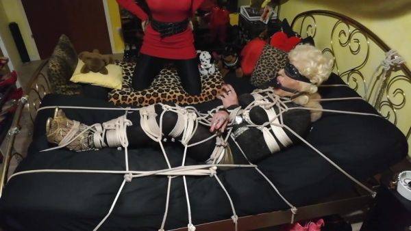 Tanja Tv Bound 7 - hclips.com on poweredporn.com