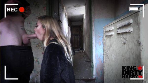 British Babe Blowjob - hclips.com - Britain on poweredporn.com