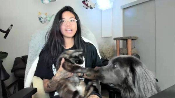 Mayamochi Chaturbate webcam thot vids - drtuber.com on poweredporn.com