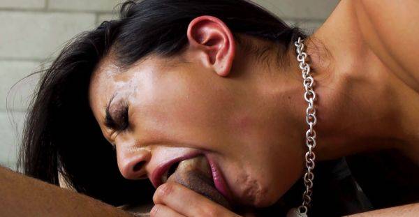 Brunette beauty struggles to throat the wet dong before getting laid - alphaporno.com on poweredporn.com