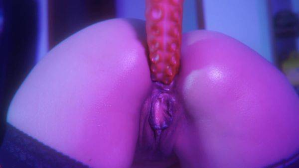 Un Estupendo Anal De Lachicaspider Con Nothosaur Y Brokenhearts - upornia.com on poweredporn.com