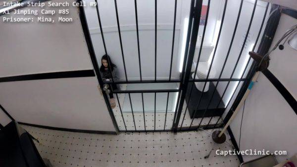 The New Immigration Policy: South Korean Edition - Mina Moon - Part 5 of 7 - CaptiveClinic - hotmovs.com on poweredporn.com