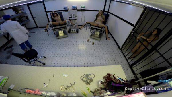 The New Immigration Policy - Lilith Rose - Part 3 of 8 - CaptiveClinic - hotmovs.com on poweredporn.com