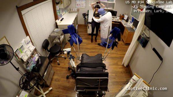 Strangers In The Night: Way Not Fair Edition - Kalani Luana - Part 7 of 7 - CaptiveClinic - hotmovs.com on poweredporn.com