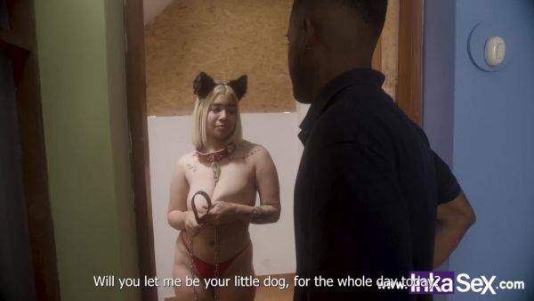 Curvy Buxom Latina Chick Plays an Obedient Pet For Her BF To Be Fucked Hard - anysex.com - Peru on poweredporn.com