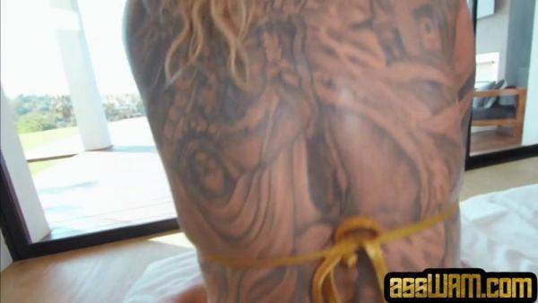 PAWG inked slut with curvy body doggystyled in ass - hotmovs.com on poweredporn.com