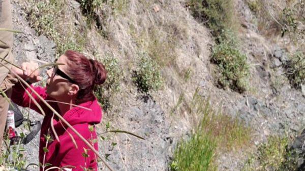 Got Caught Sucking His Cock As He Came In My Mouth Hiking - upornia.com on poweredporn.com