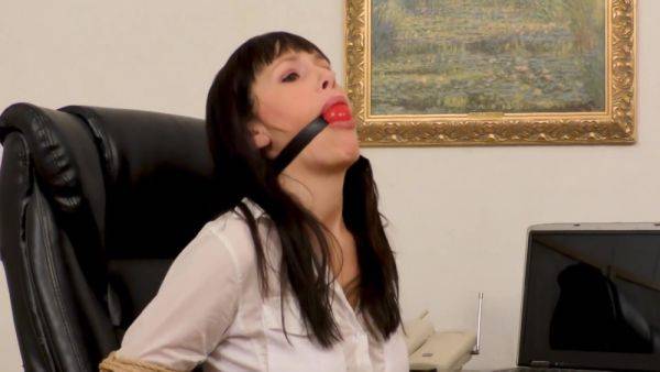 The Damsel Mission - videomanysex.com on poweredporn.com