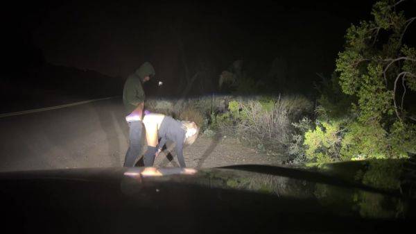 Rough Public Sex! Pounding Her Pussy On The Side Of The Road 5 Min - Ryland Ryker And Mya Lane - hclips.com on poweredporn.com