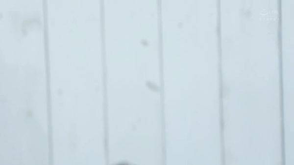 RMLD44 Cuuuuuuty Japanese sex BABE - senzuri.tube - Japan on poweredporn.com