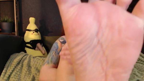 Mistress Orders Slave To Touch Lick Mistresss Feet And Watch Her Masturbate - hotmovs.com on poweredporn.com