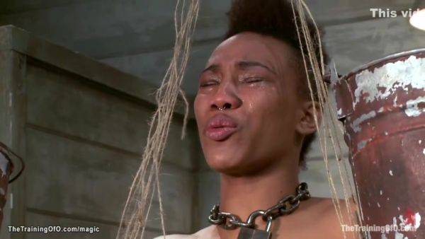 Ebony Trainee Sucking Huge Dick To Gimp - hotmovs.com on poweredporn.com