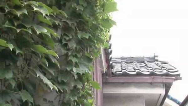 Japanese-sex-pako-1169 - senzuri.tube on poweredporn.com