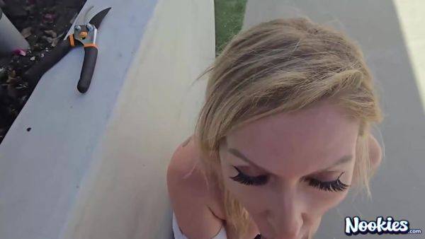 Nookies Hot Housewife Sydney Paige - hotmovs.com on poweredporn.com