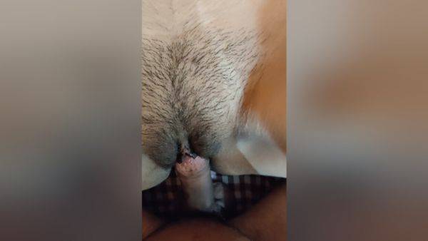 Bhai Ne Kiya I Sex Hote Hue Raat Mein Banai Video - desi-porntube.com - India on poweredporn.com