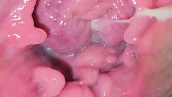 Exploring My Plump Vulva: A Close-Up Experience - porntry.com on poweredporn.com