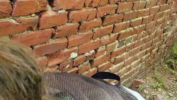 Dang, she gives amazing head - veryfreeporn.com on poweredporn.com