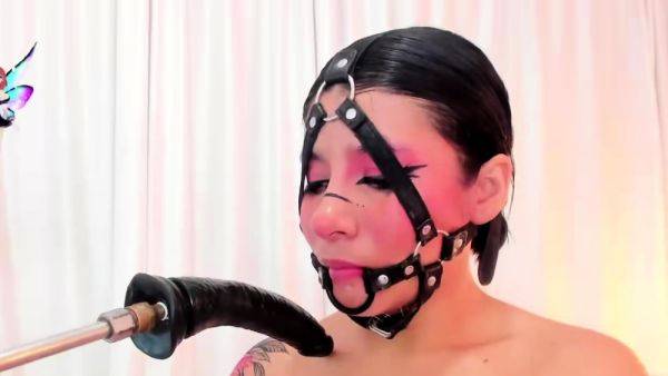 Stacked brunette goes solo toys and masturbation - drtuber.com on poweredporn.com