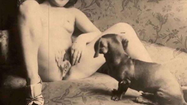 My Private World: Top 20 'Kitty & Canine' Highlights - Classic & Hairy - porntry.com on poweredporn.com