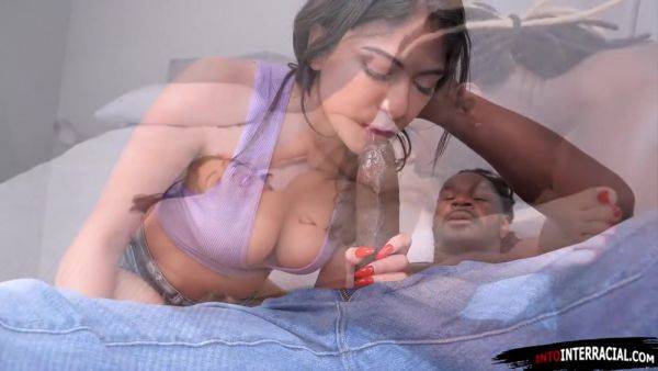 Latin teen Reyna Belle can do whatever she wants with my bbc - hotmovs.com on poweredporn.com