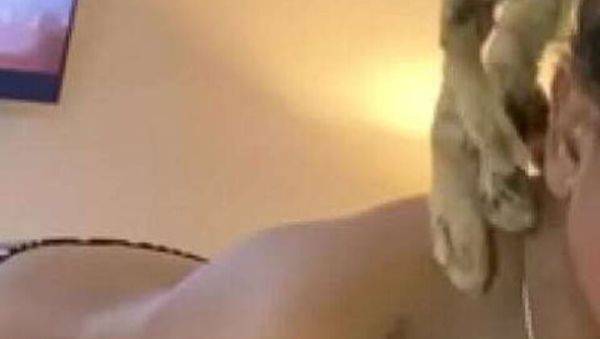 Visited Miami for the Dreadlocked Beauty, Princess Hayze - xxxfiles.com on poweredporn.com