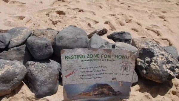 Pull Over And Finger Her Till She Squirts Everywhere - hotmovs.com on poweredporn.com