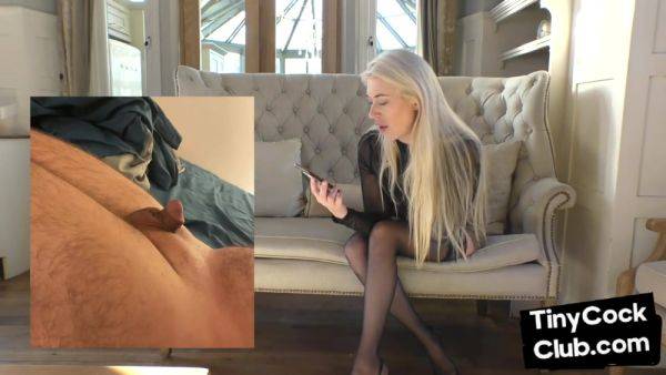 SPH petite femdom babe laughs on smallcock pics at home - hotmovs.com - Britain on poweredporn.com